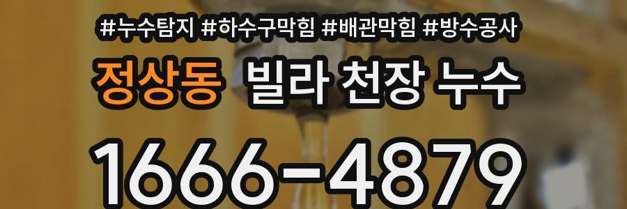 정상동 빌라 천장 누수