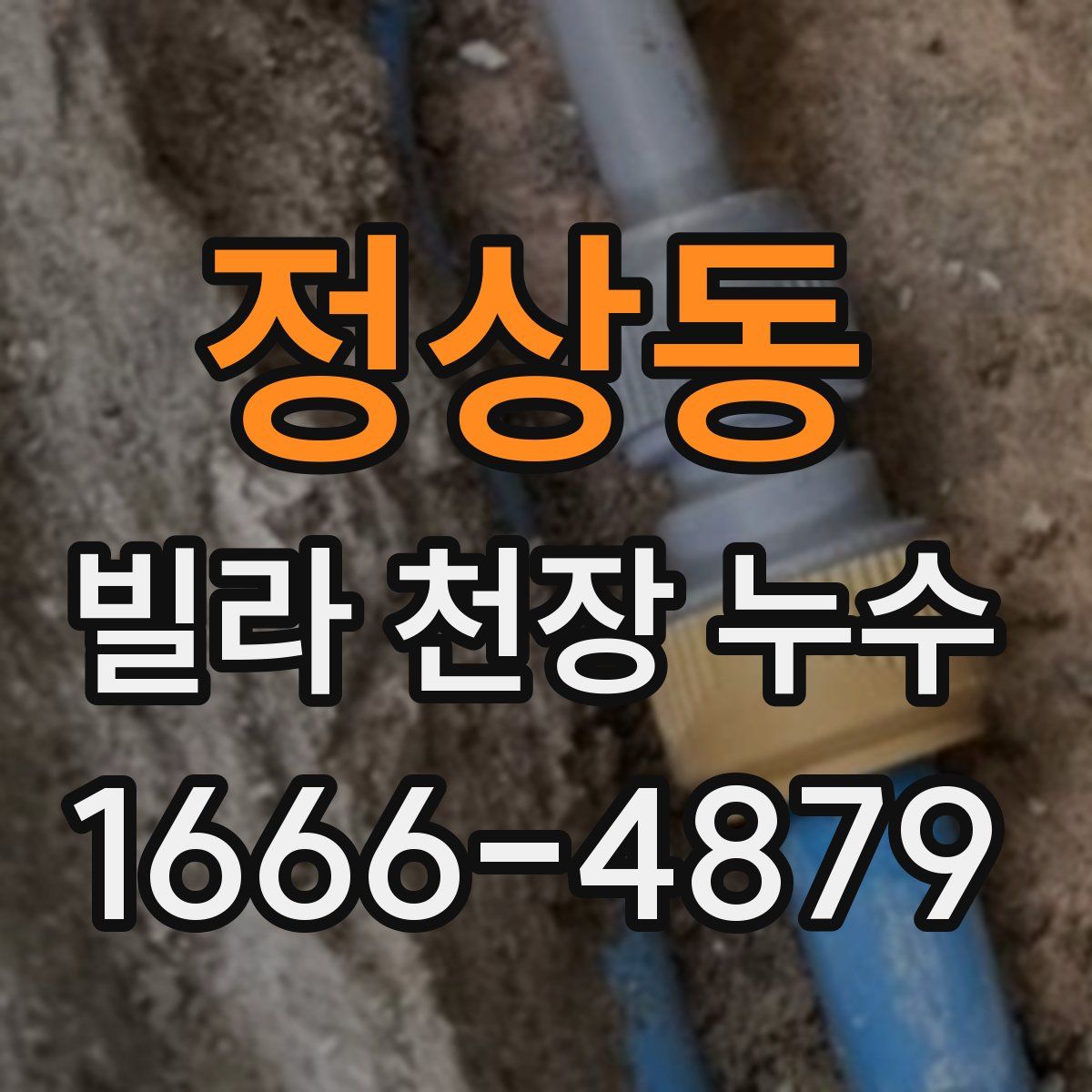 정상동 빌라 천장 누수