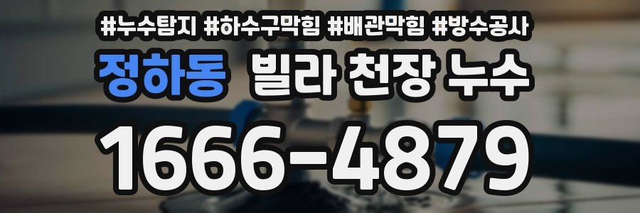 정하동 빌라 천장 누수