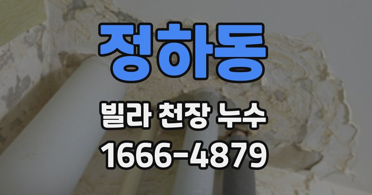정하동 빌라 천장 누수