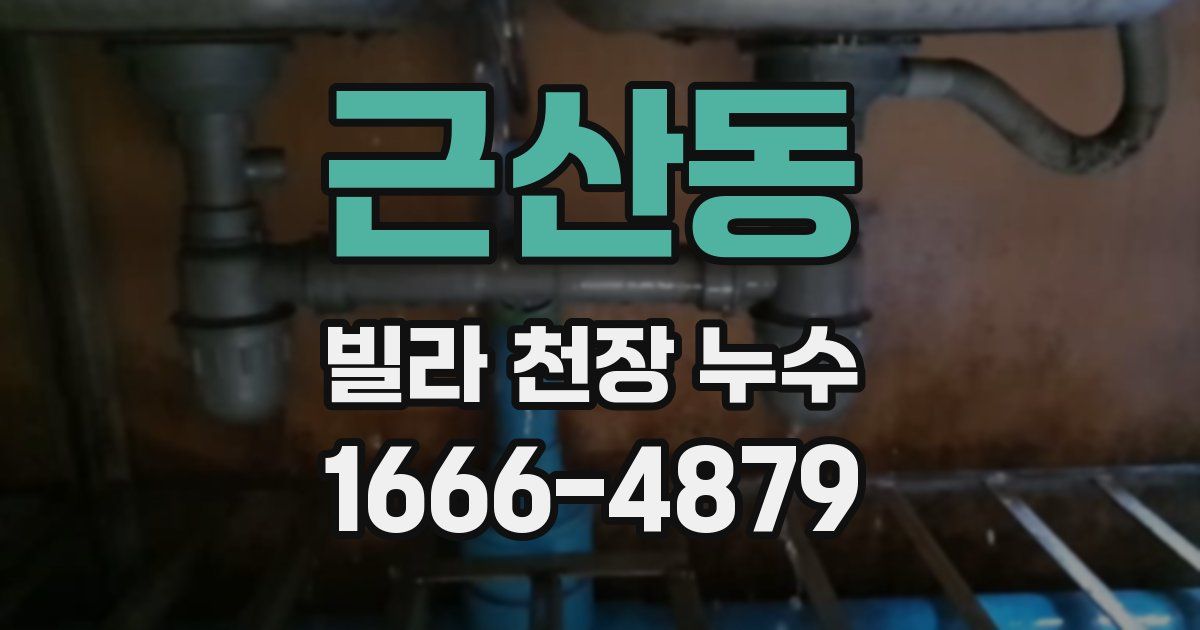 근산동 빌라 천장 누수