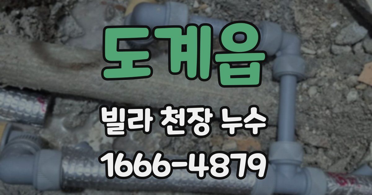도계읍 빌라 천장 누수