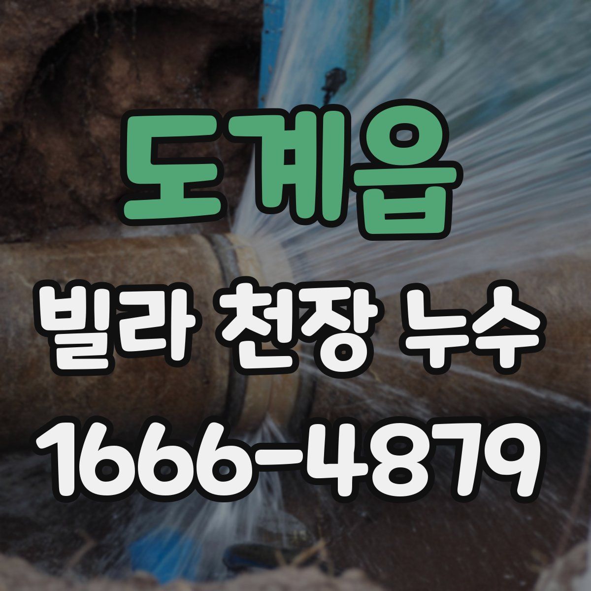도계읍 빌라 천장 누수