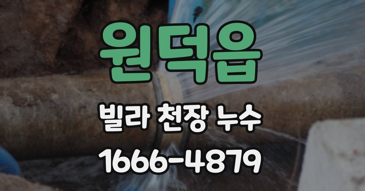 원덕읍 빌라 천장 누수