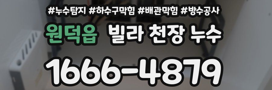 원덕읍 빌라 천장 누수