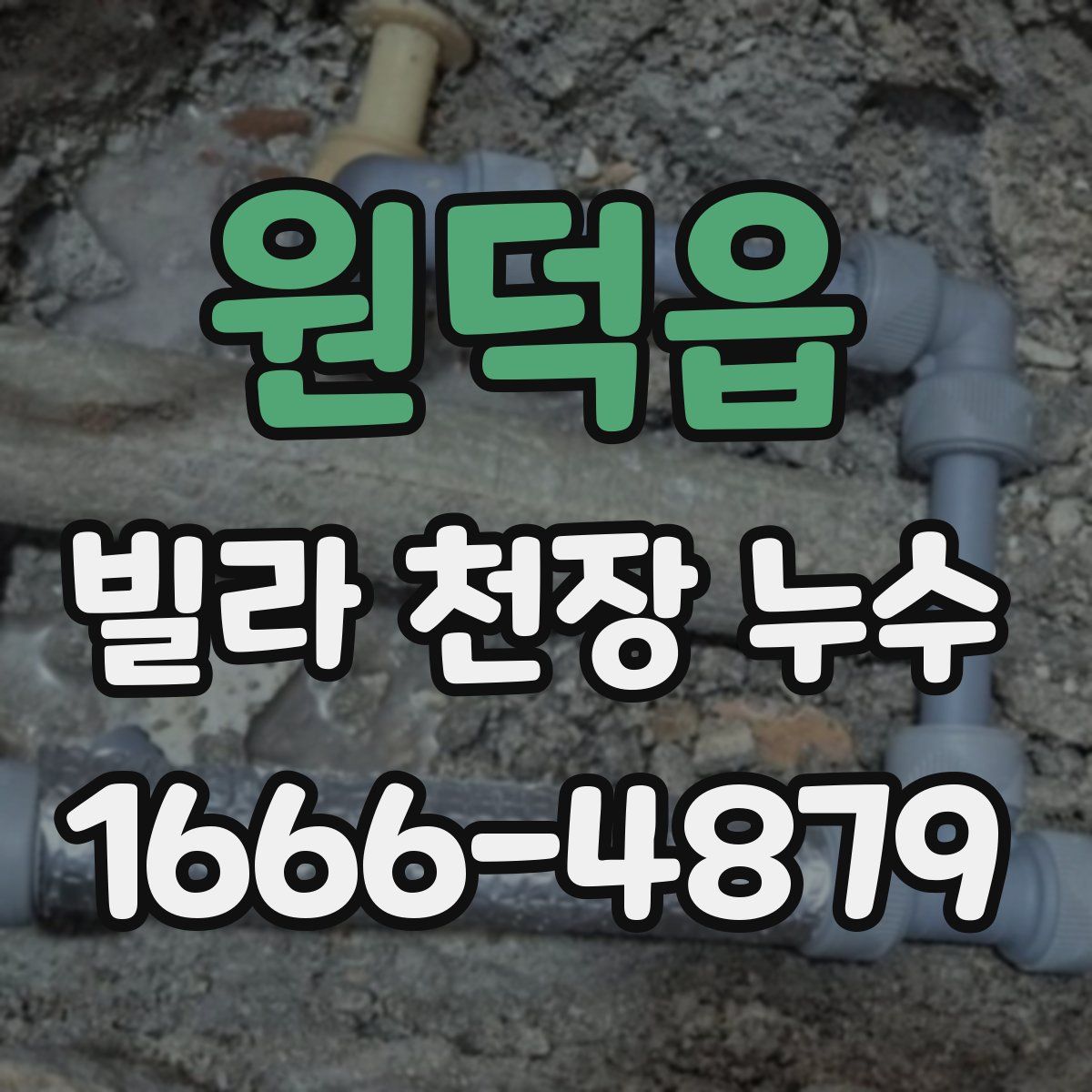 원덕읍 빌라 천장 누수