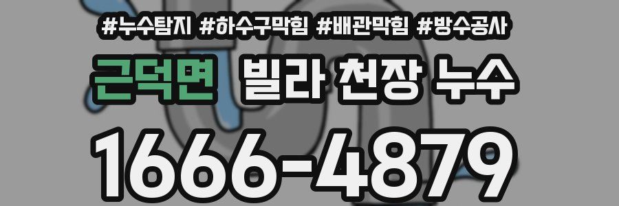 근덕면 빌라 천장 누수