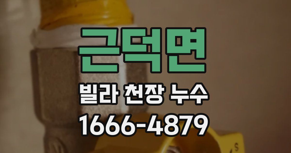 근덕면 빌라 천장 누수
