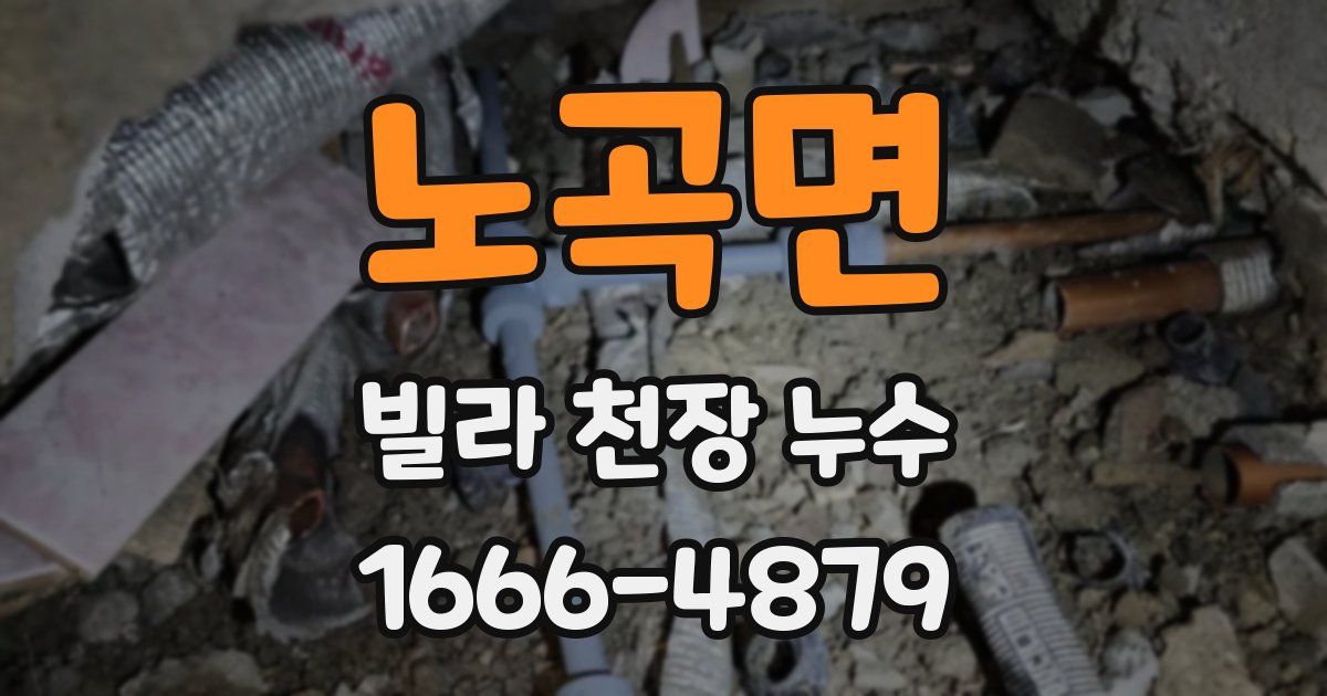 노곡면 빌라 천장 누수
