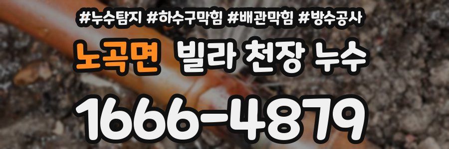 노곡면 빌라 천장 누수