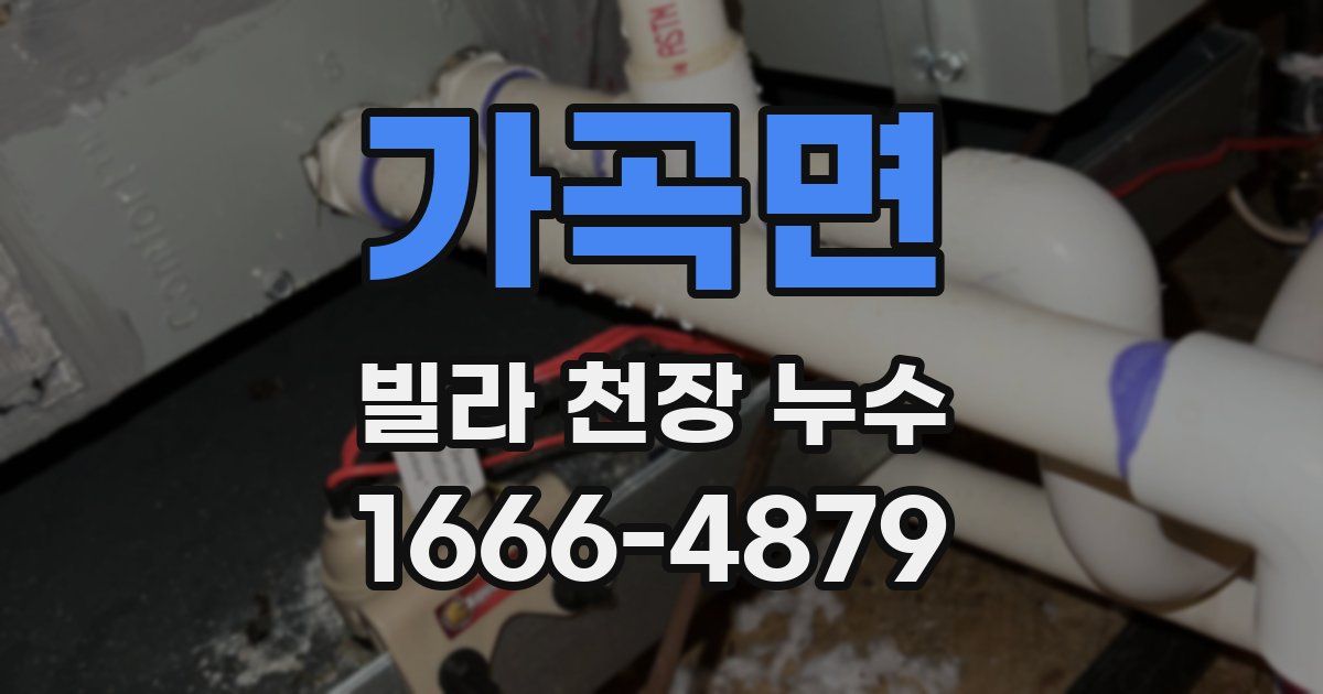 가곡면 빌라 천장 누수