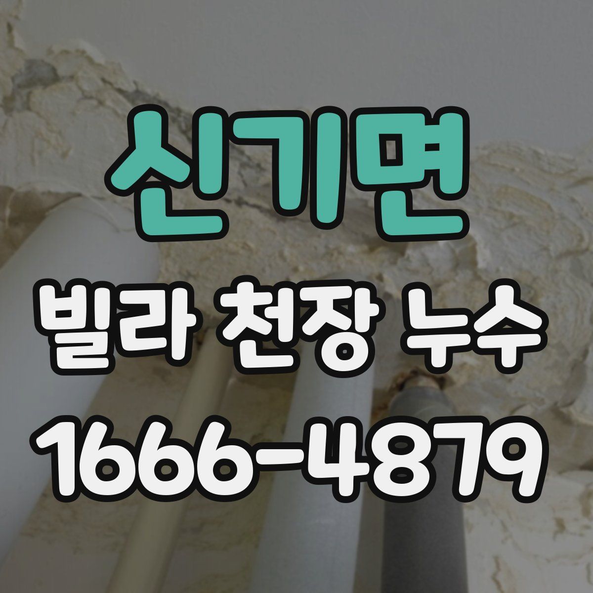 신기면 빌라 천장 누수