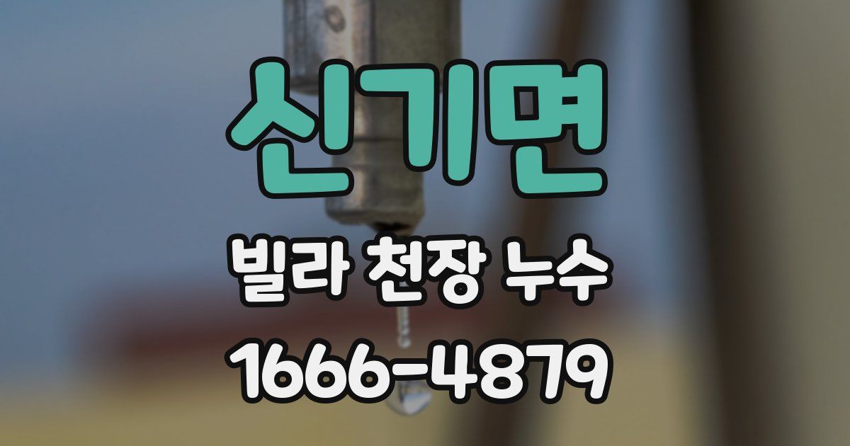 신기면 빌라 천장 누수