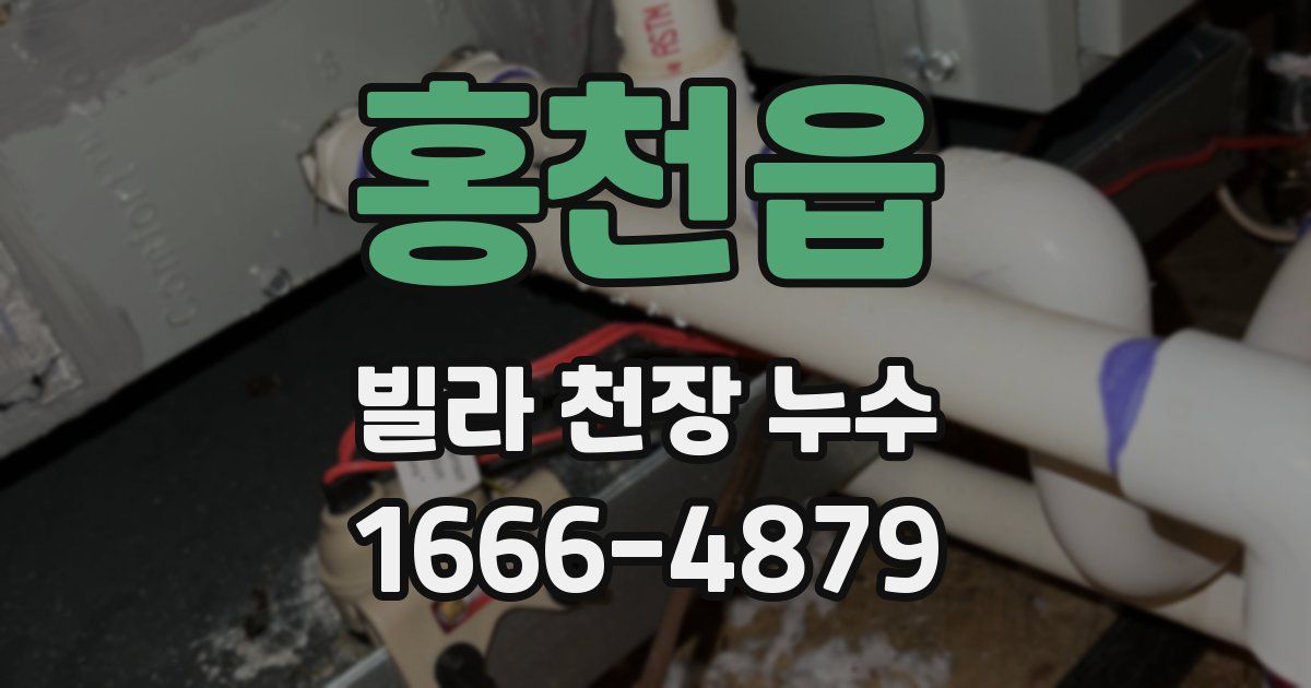 홍천읍 빌라 천장 누수