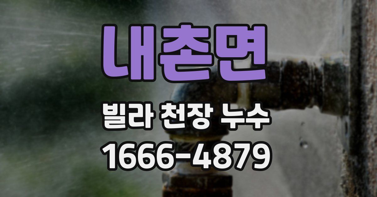 내촌면 빌라 천장 누수