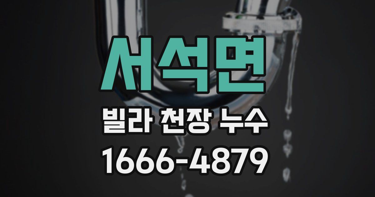 서석면 빌라 천장 누수