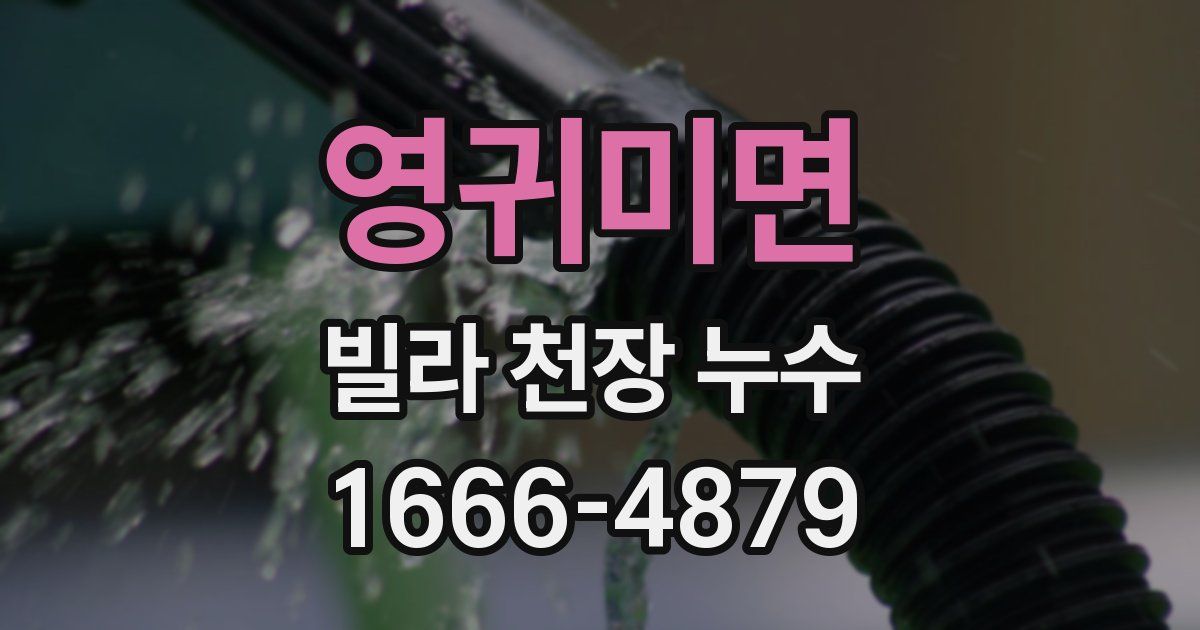 영귀미면 빌라 천장 누수