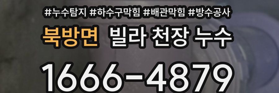 북방면 빌라 천장 누수