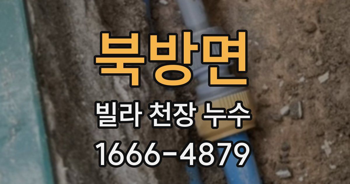북방면 빌라 천장 누수