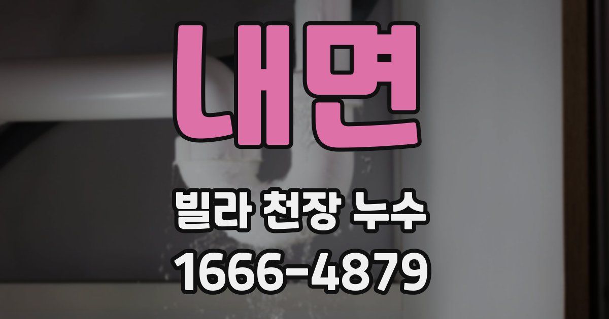 내면 빌라 천장 누수