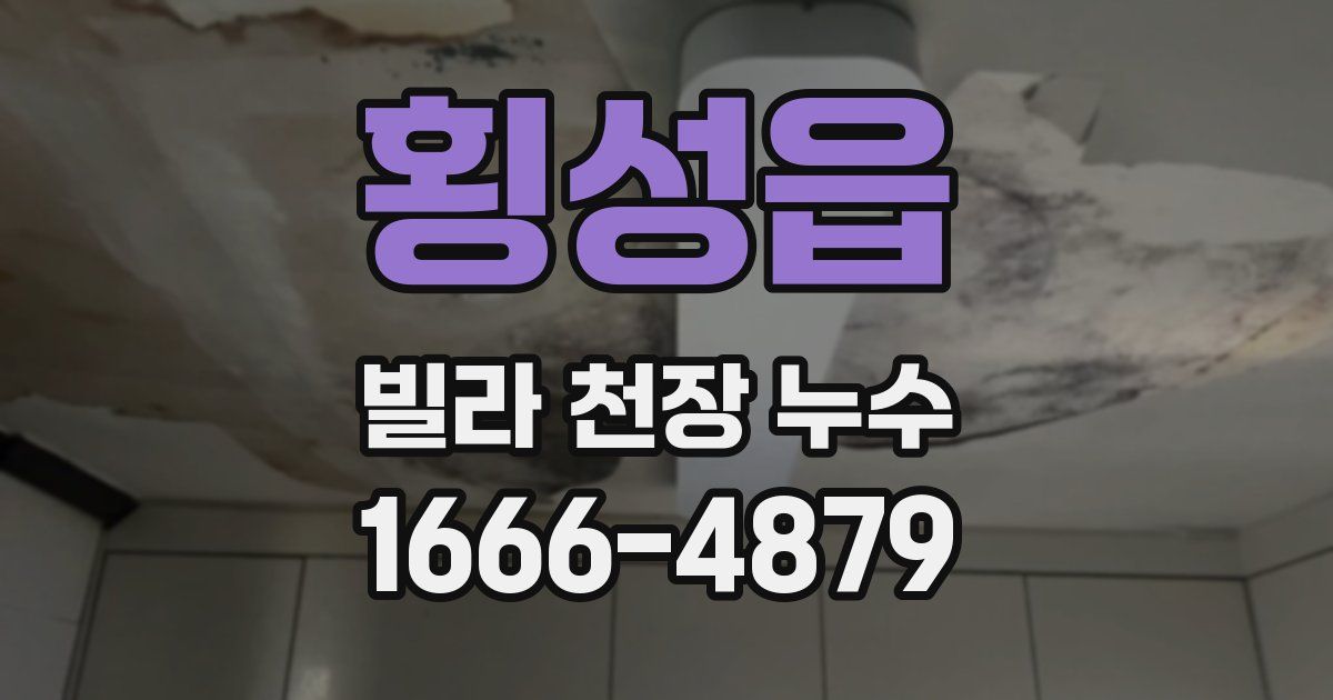 횡성읍 빌라 천장 누수