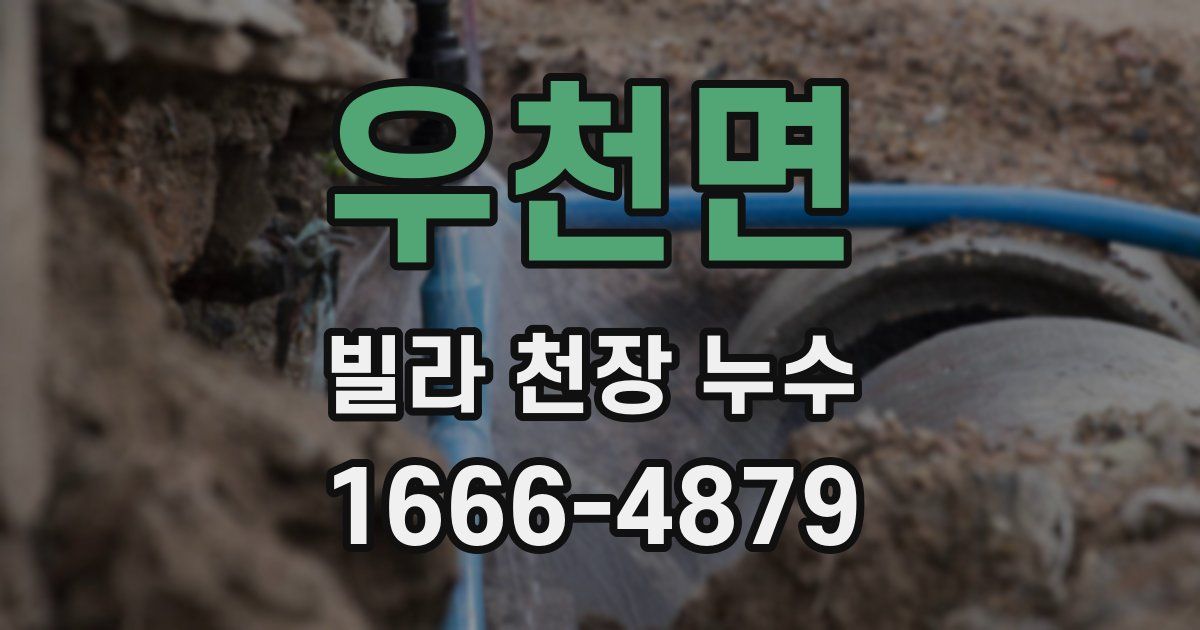 우천면 빌라 천장 누수