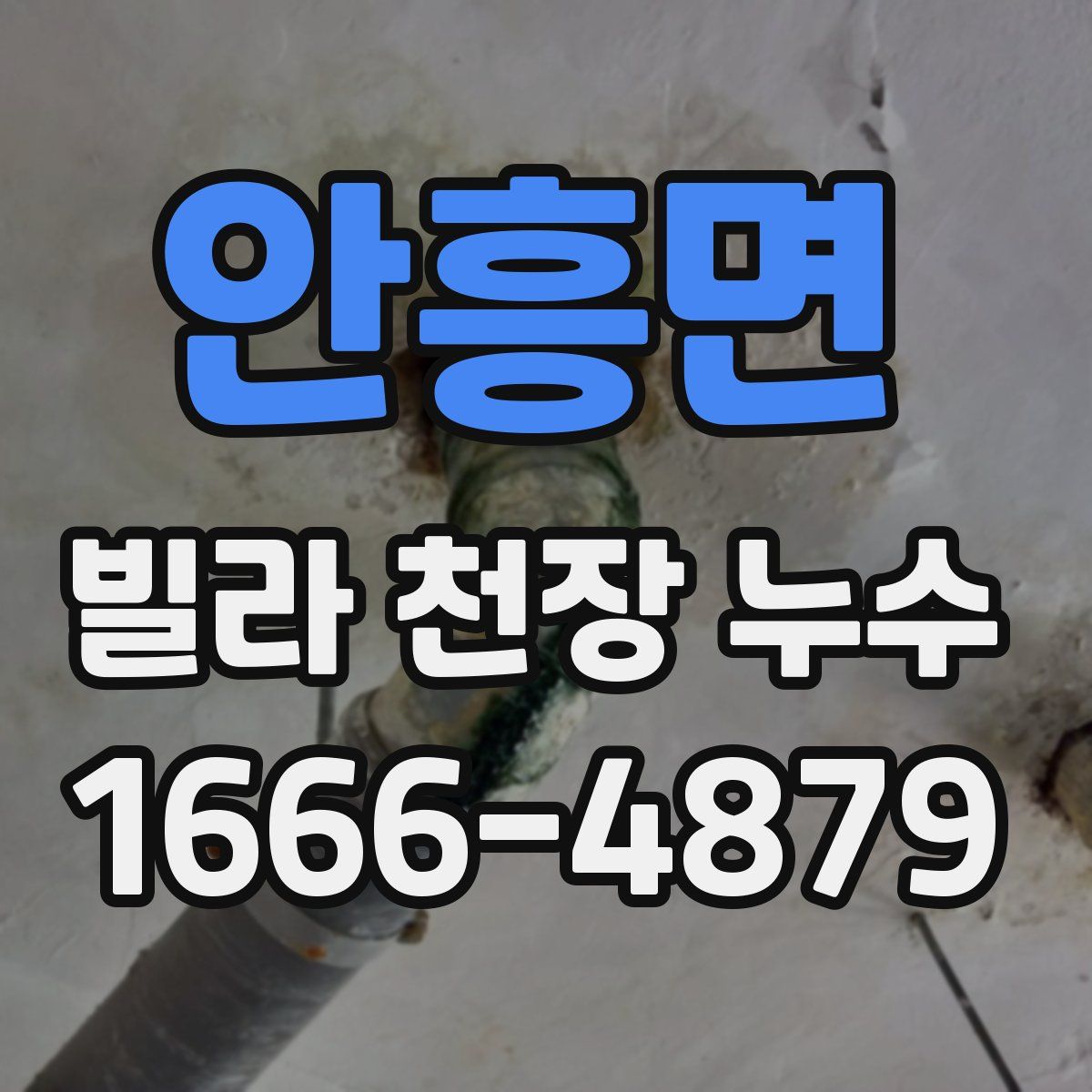 안흥면 빌라 천장 누수
