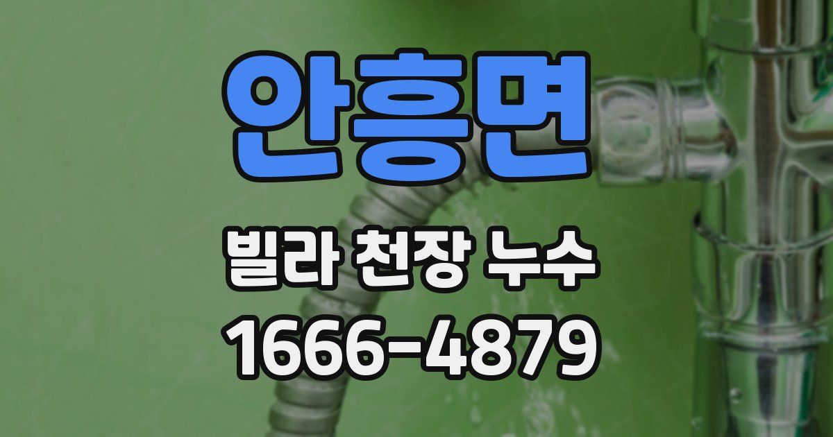 안흥면 빌라 천장 누수