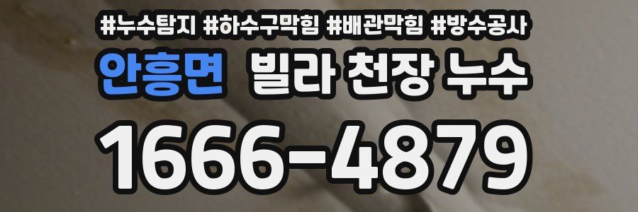 안흥면 빌라 천장 누수