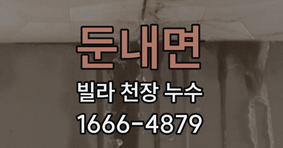 둔내면 빌라 천장 누수