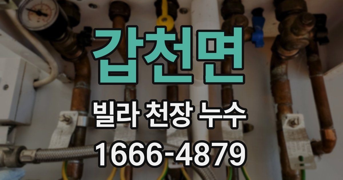 갑천면 빌라 천장 누수