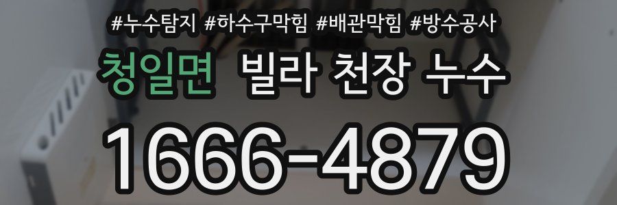 청일면 빌라 천장 누수