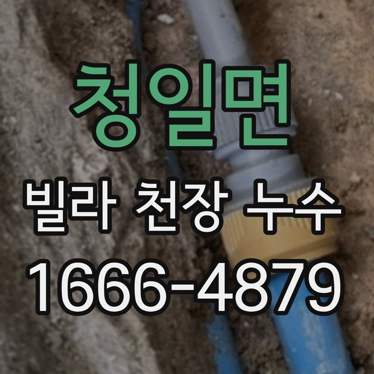 청일면 빌라 천장 누수