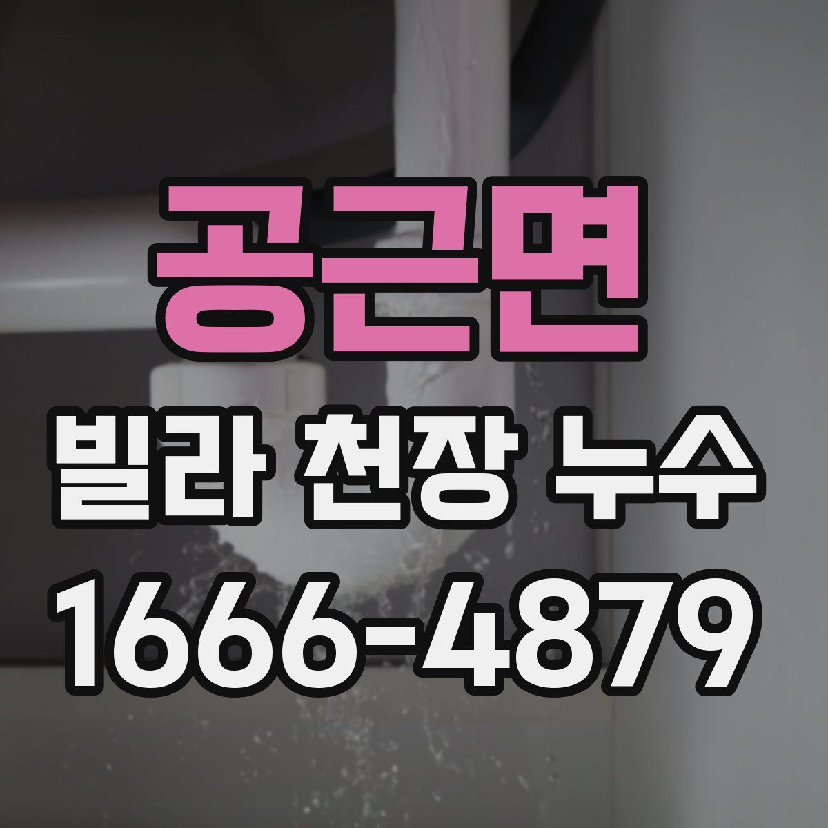 공근면 빌라 천장 누수