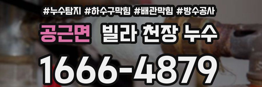 공근면 빌라 천장 누수