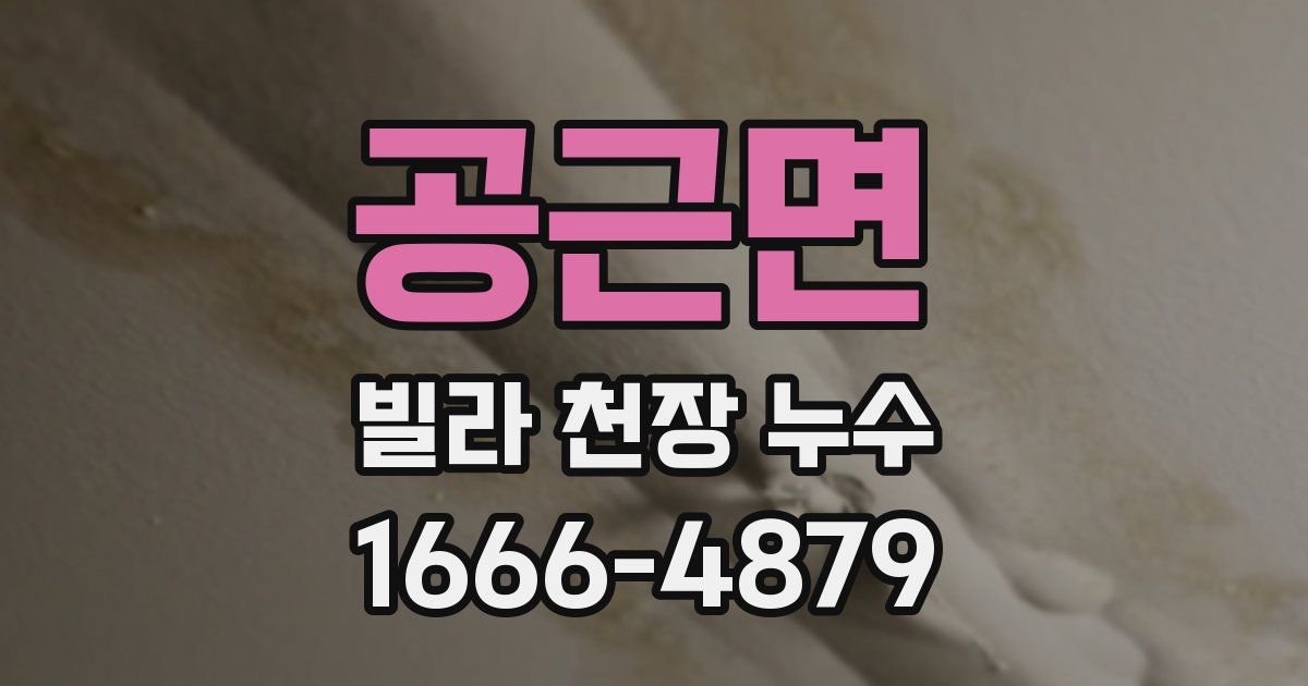 공근면 빌라 천장 누수