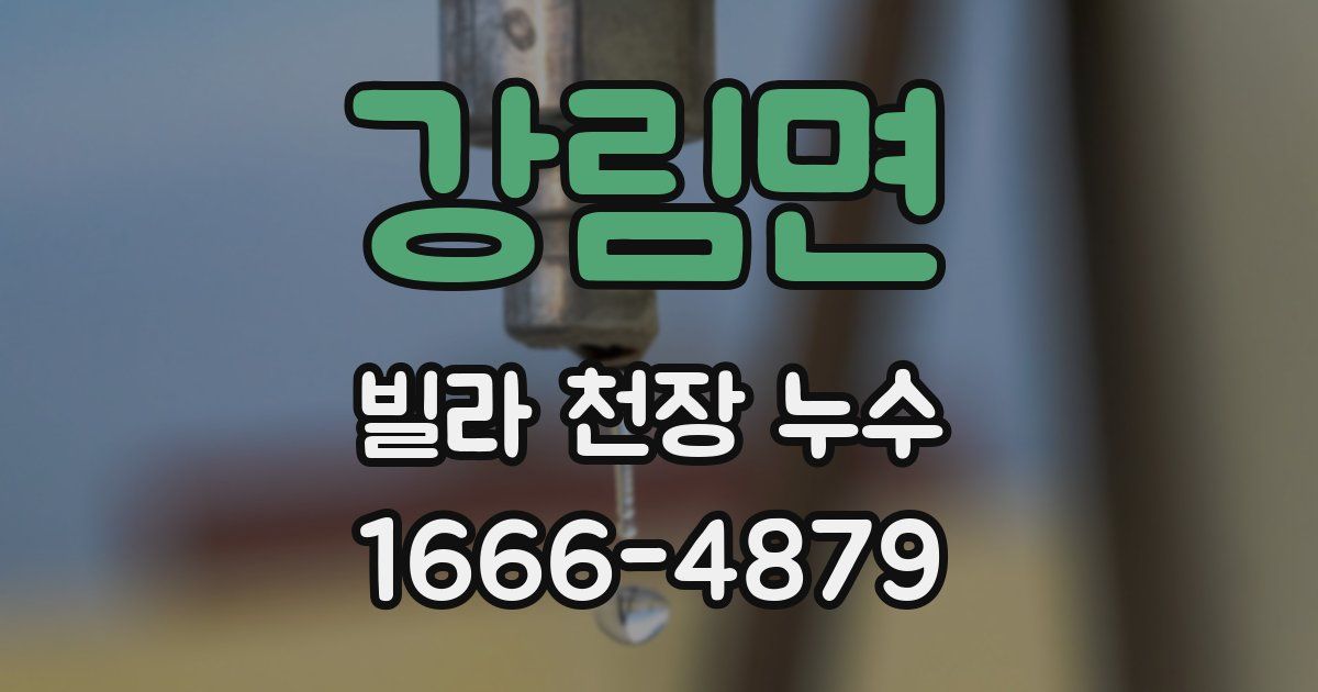 강림면 빌라 천장 누수