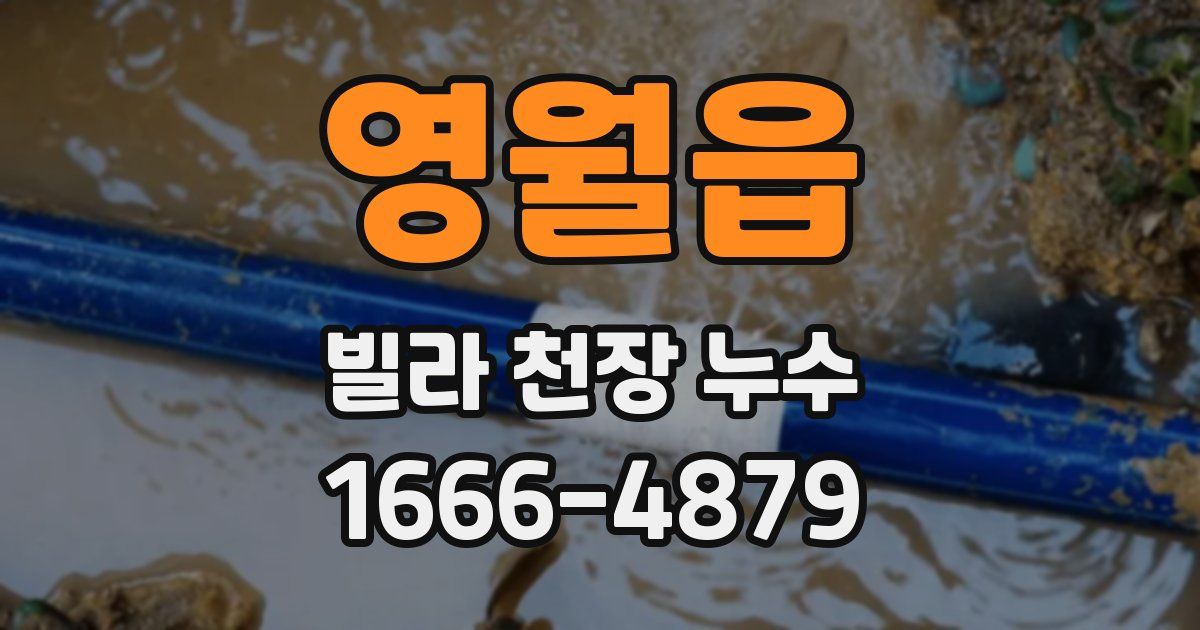 영월읍 빌라 천장 누수