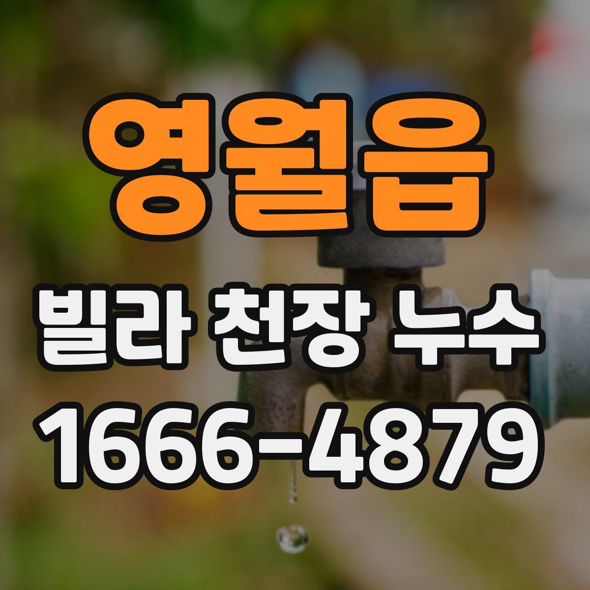 영월읍 빌라 천장 누수