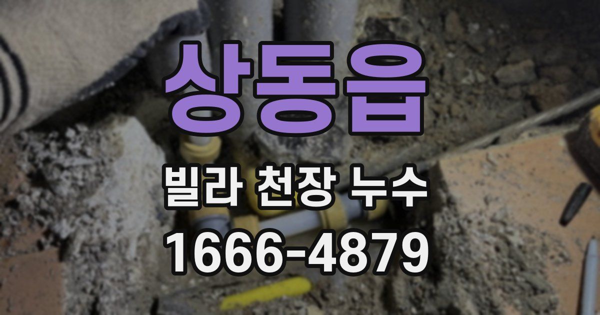 상동읍 빌라 천장 누수