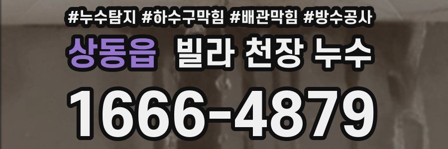 상동읍 빌라 천장 누수