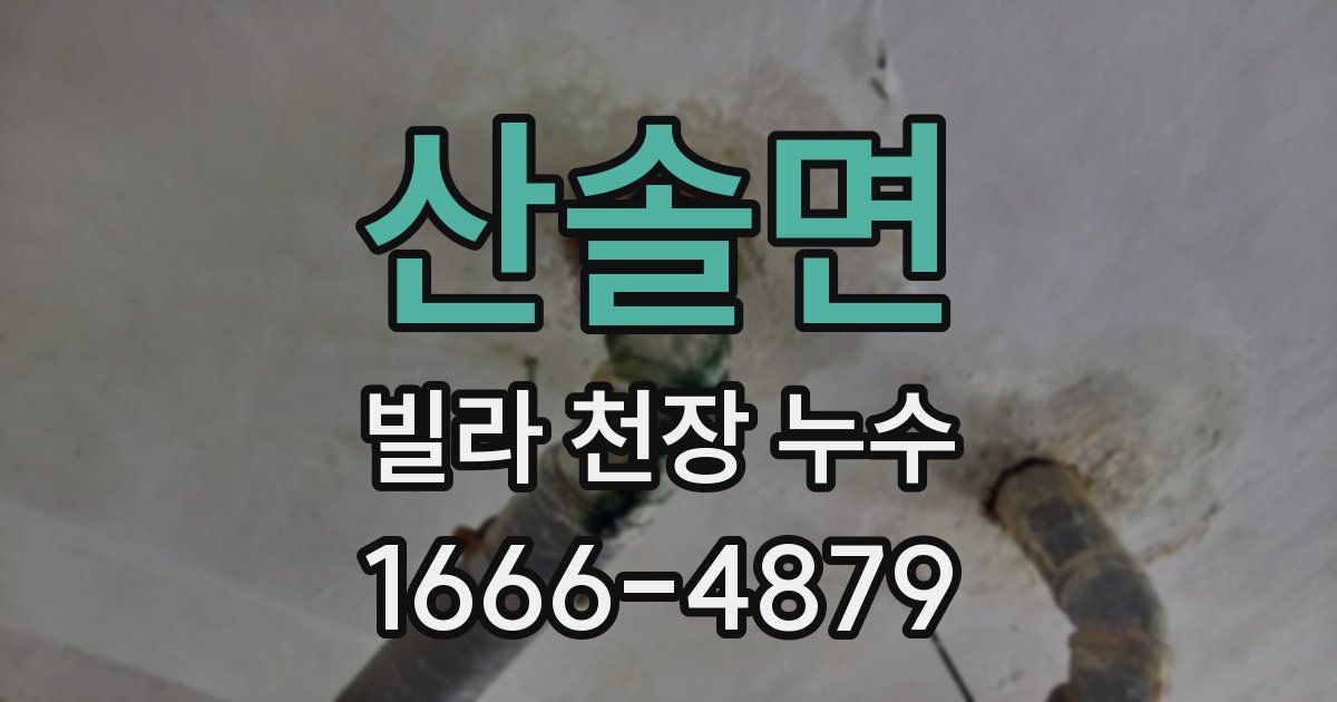 산솔면 빌라 천장 누수