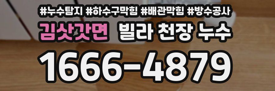 김삿갓면 빌라 천장 누수