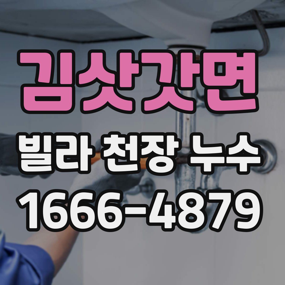 김삿갓면 빌라 천장 누수