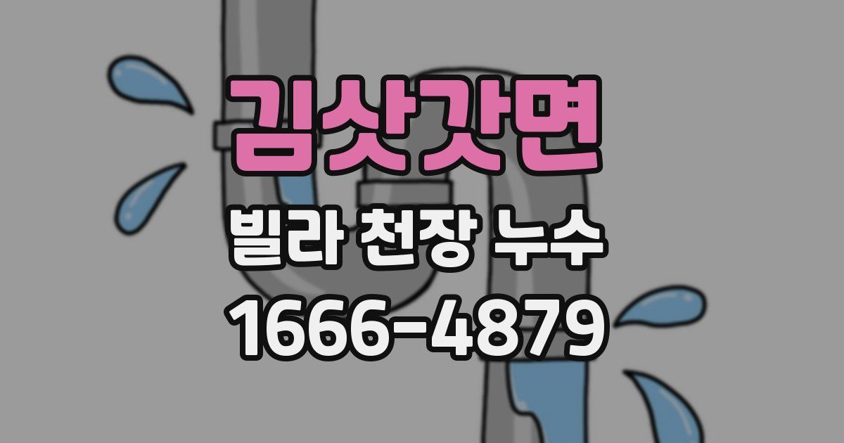 김삿갓면 빌라 천장 누수