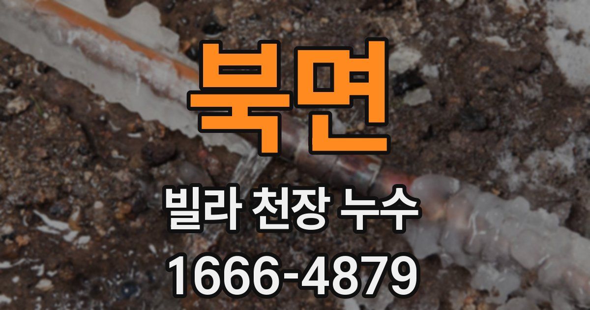 북면 빌라 천장 누수