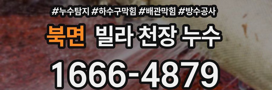 북면 빌라 천장 누수