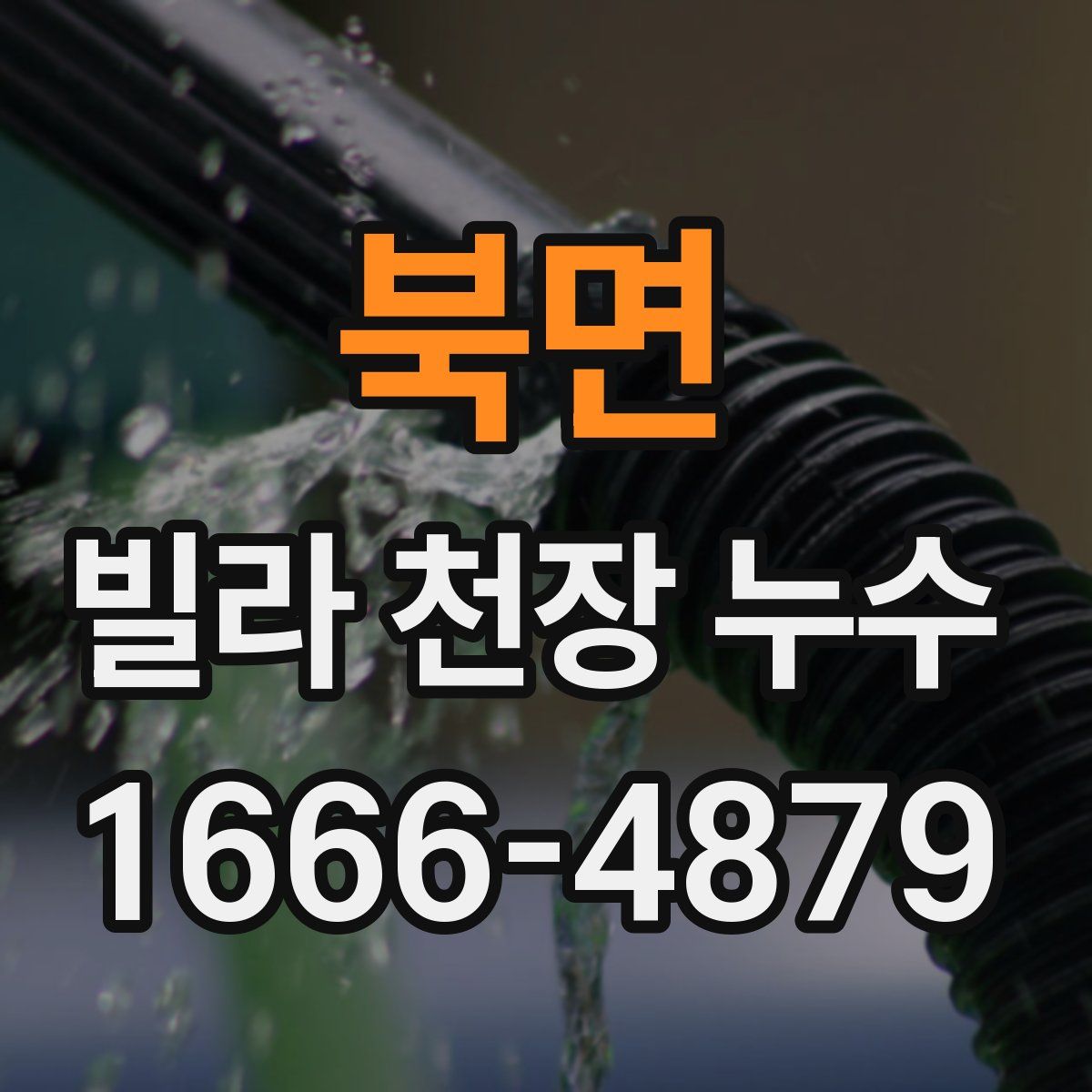 북면 빌라 천장 누수