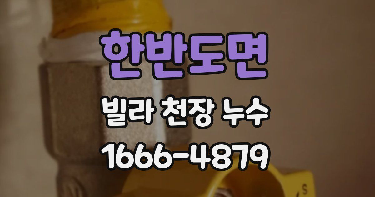 한반도면 빌라 천장 누수
