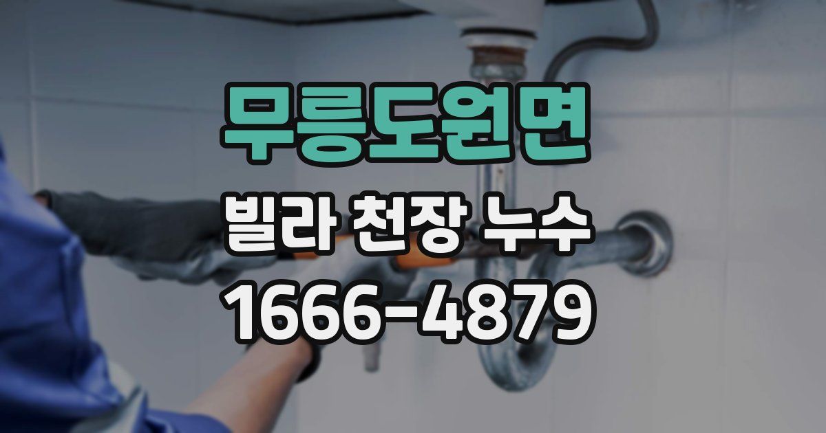 무릉도원면 빌라 천장 누수